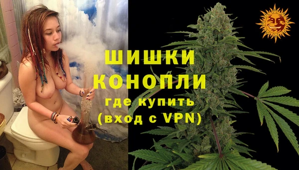 PSILOCYBIN Навашино