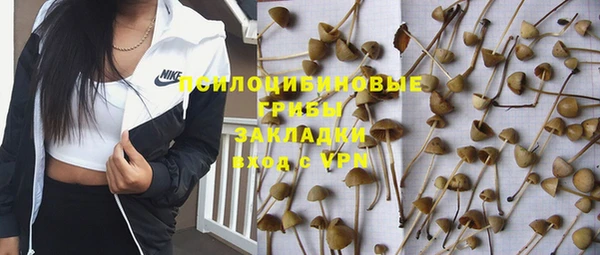 spice Михайловка