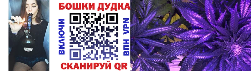Конопля OG Kush как найти закладки Полесск